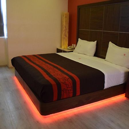 Plutarco Suites メキシコシティ エクステリア 写真